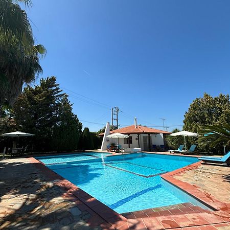 Country House With Pool And Big Garden 奥罗波斯 外观 照片